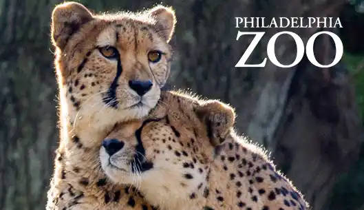 Philadelphia Zoo
