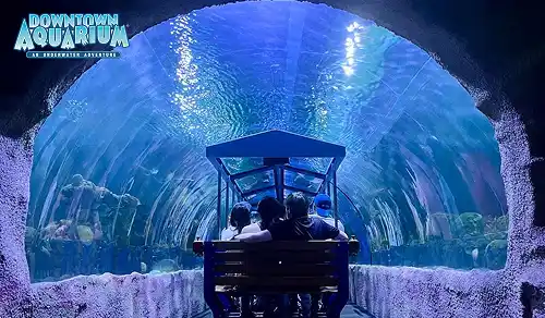 Downtown Aquarium