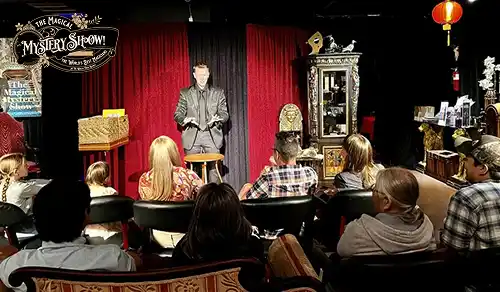 The Magical Mystery Show