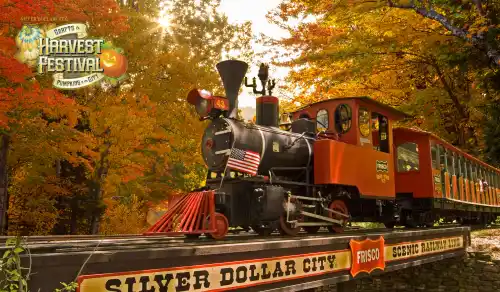 Silver Dollar City