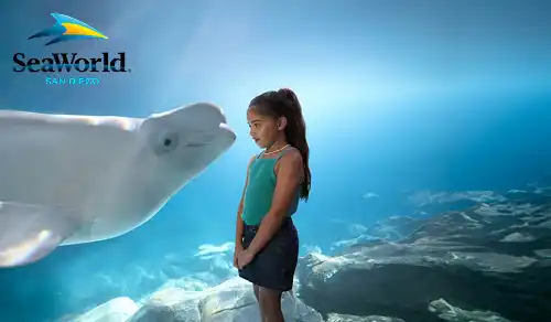 SeaWorld San Diego