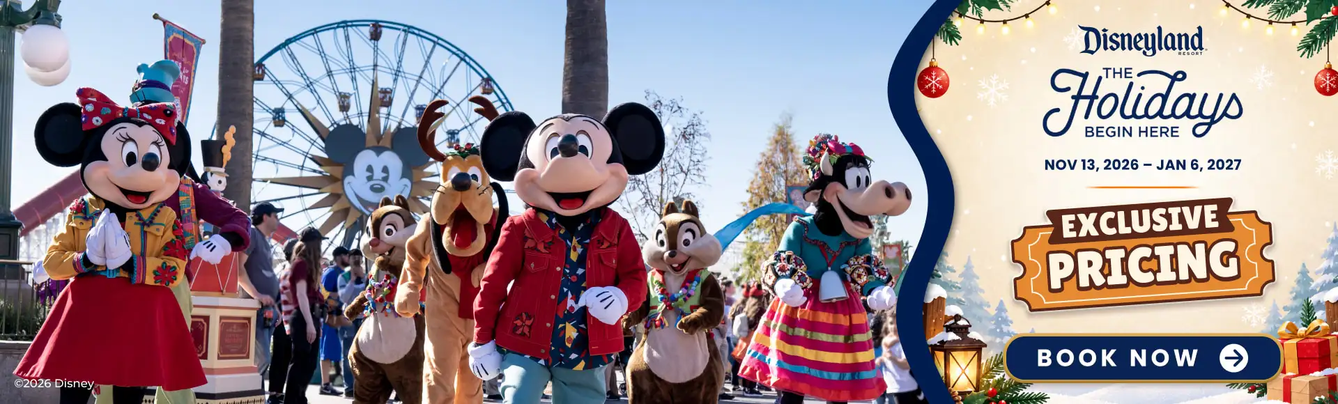Disneyland Xmas