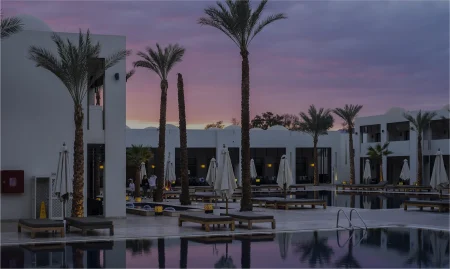 A resort pool area with lounge chairs and umbrellas, surrounded by palm trees under a colorful sunset sky.