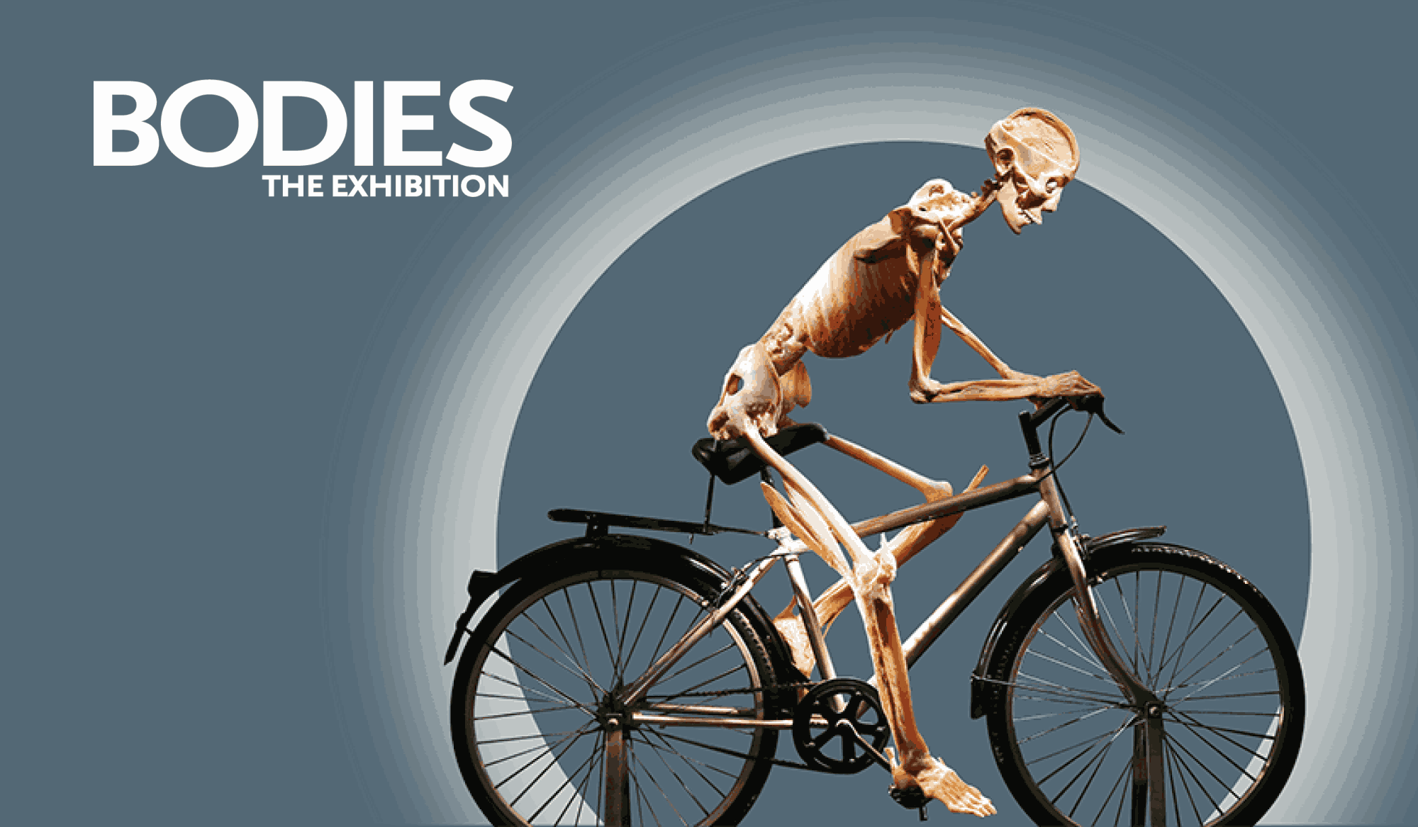 Bodies...The Exhibition