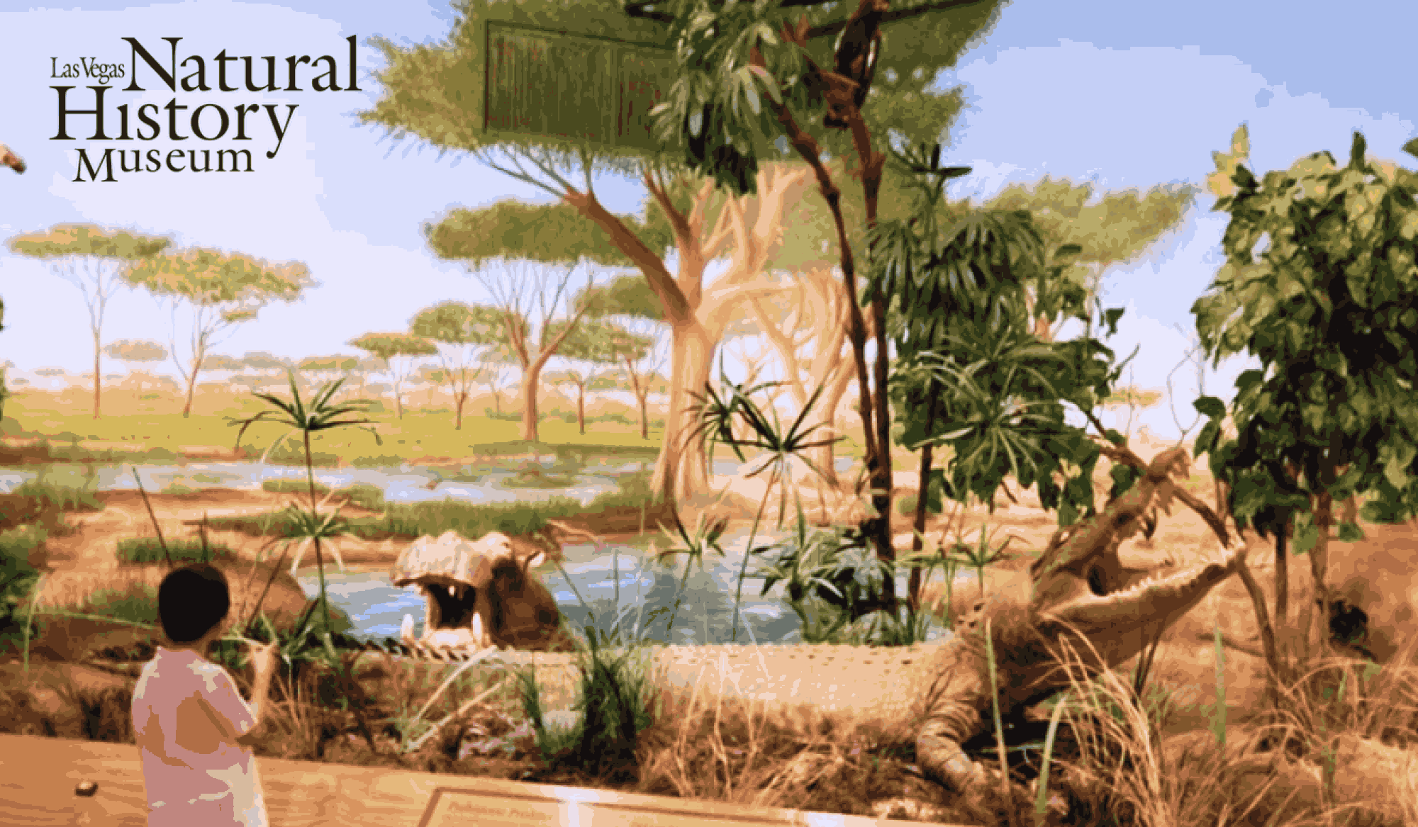 Las Vegas Natural History Museum
