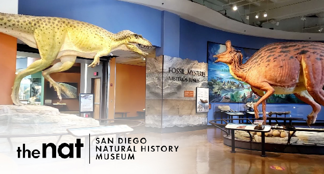 San Diego Natural History Museum