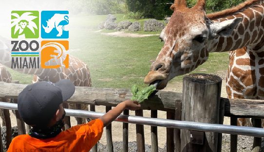 Zoo Miami