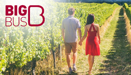 Big Bus Tours Chicago