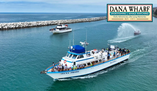 Dana Wharf Sportfishing, Whale Watching & Wine Cruises