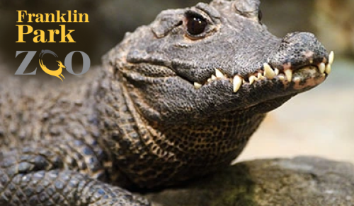 Franklin Park Zoo: Zoo New England