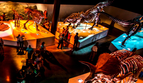 Houston Kid's Choice Museum Pass