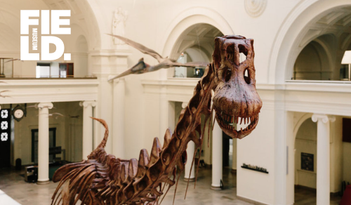 The Field Museum of Natural History