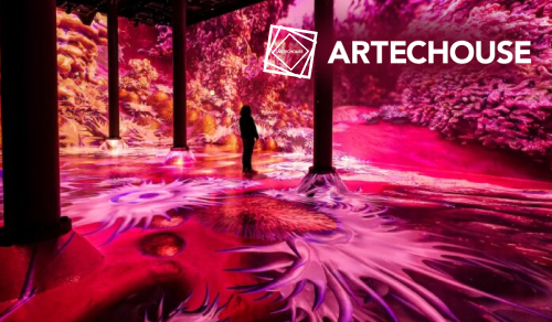 ARTECHOUSE New York