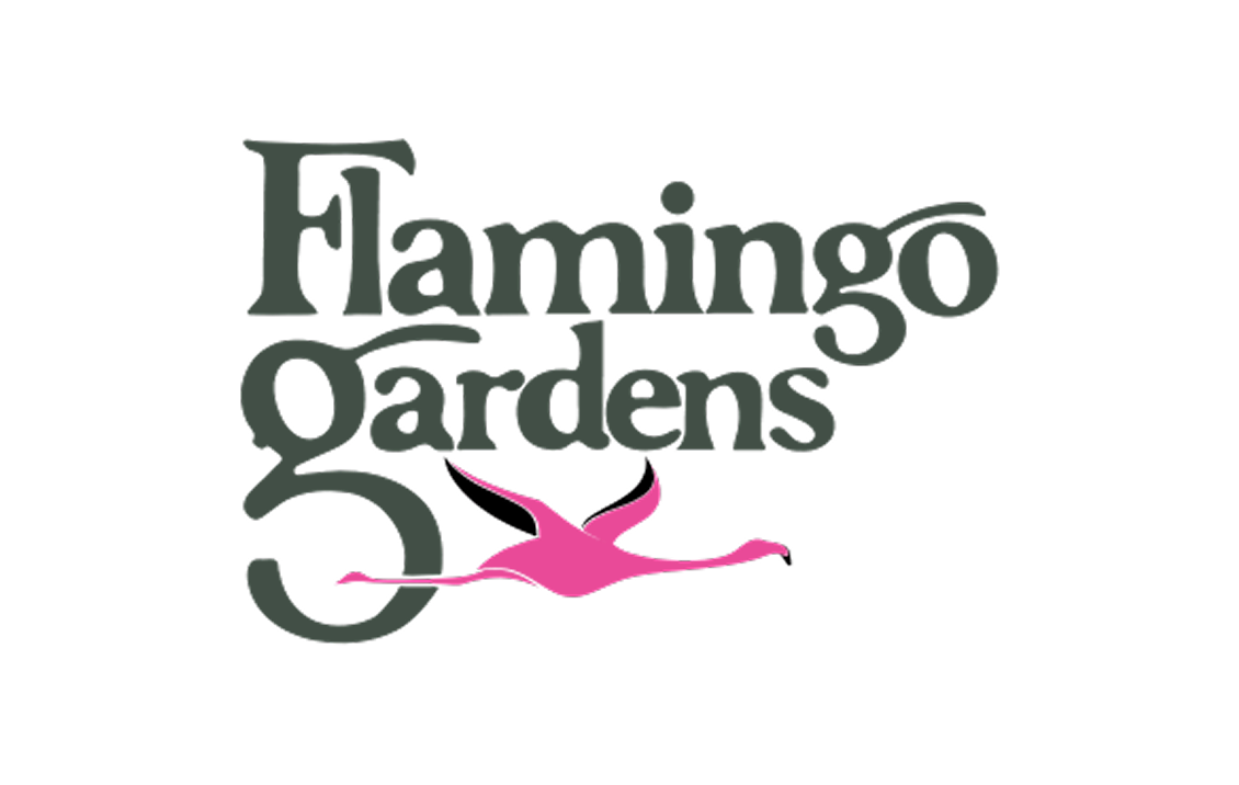 Flamingo Gardens
